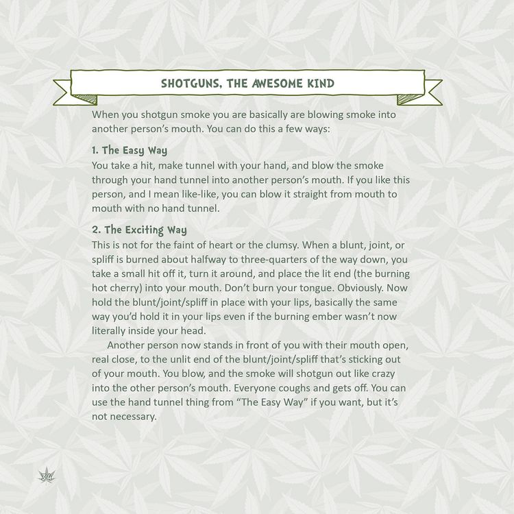 Produktbild: The Little Book of Weed Games