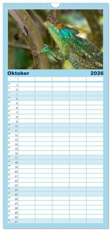 Produktbild: Familienplaner 2026 - Drachen: Geheimnisvolles Tierreich mit 5 Spalten (Wandkalender, 21 x 45 cm) CALVENDO
