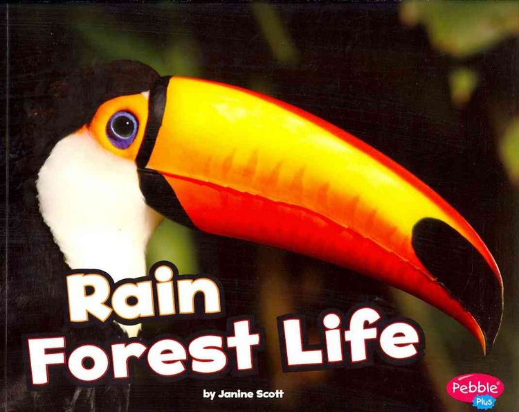 Produktbild: Rain Forest Life