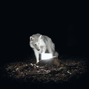 Produktbild: Surveillance