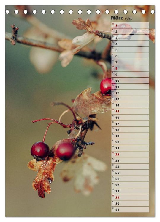 Produktbild: Kalender - Natur im Detail (Tischkalender 2026 DIN A5 hoch), CALVENDO Monatskalender