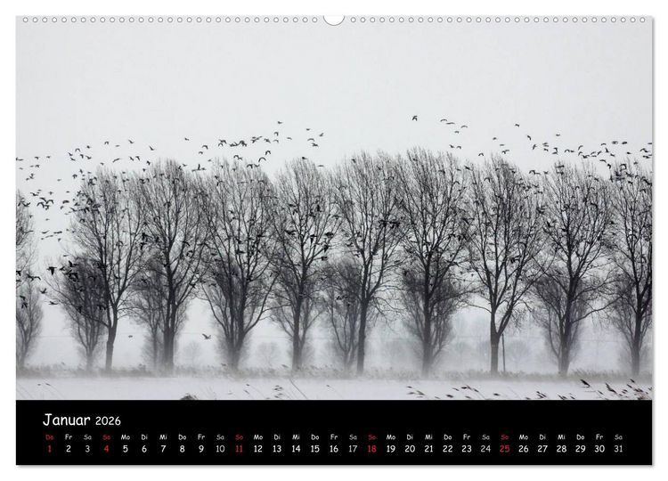 Produktbild: Schrei der Wildg&auml;nse (Wandkalender 2026 DIN A2 quer), CALVENDO Monatskalender