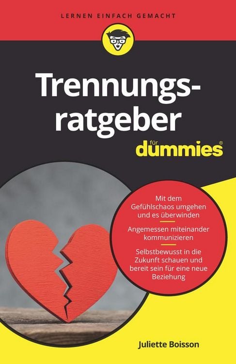 Bild vom Artikel Trennungsratgeber für Dummies vom Autor Juliette Boisson