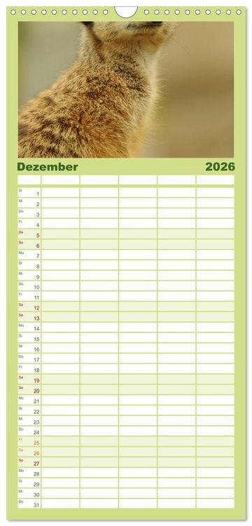 Produktbild: Familienplaner 2026 - Erdm&auml;nnchen mit 5 Spalten (Wandkalender, 21 x 45 cm) CALVENDO