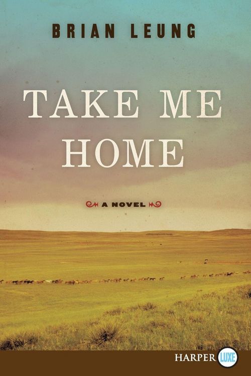 Produktbild: Take Me Home LP