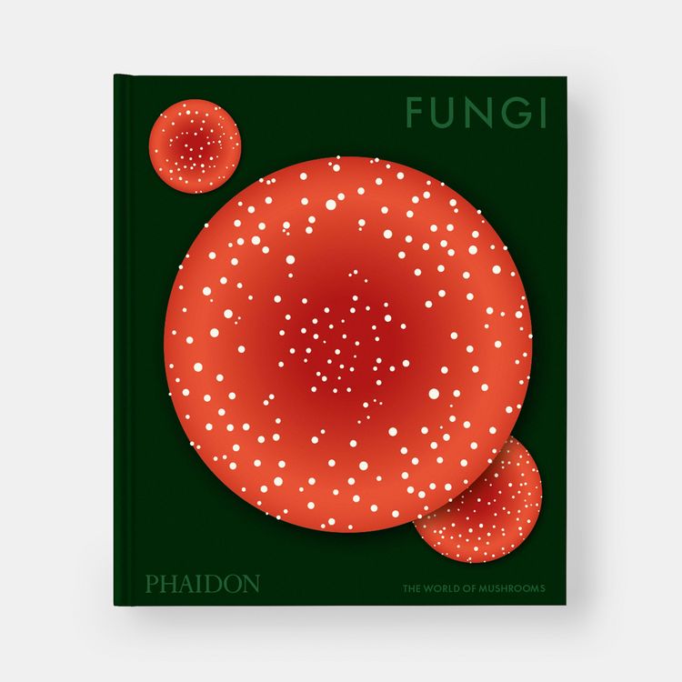 Produktbild: Fungi