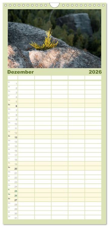 Produktbild: Familienplaner 2026 - Zauberhaftes Heidekraut - Elbsandstein mit 5 Spalten (Wandkalender, 21 x 45 cm) CALVENDO