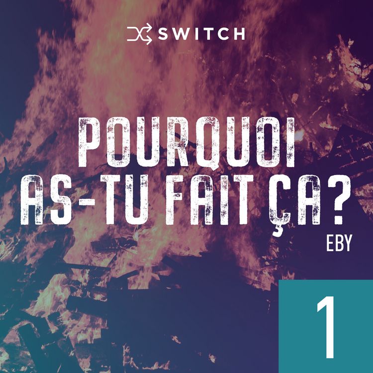 Produktbild: Pourquoi as-tu fait &ccedil;a 1