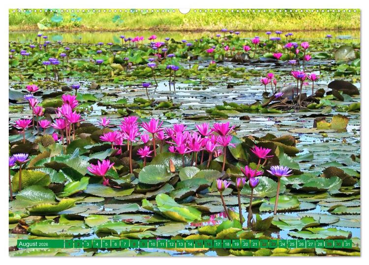 Produktbild: Sri Lanka, Gr&uuml;ne Berge - unber&uuml;hrte Natur (hochwertiger Premium Wandkalender 2026 DIN A2 quer), Kunstdruck in Hochglanz