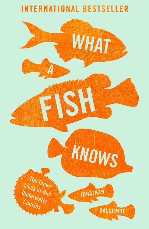 Produktbild: What a Fish Knows