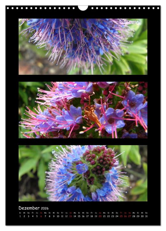 Produktbild: ZAUBERWELT DER BLUMEN - EISKRISTALLE & WASSERPERLEN (Wandkalender 2026 DIN A3 hoch), CALVENDO Monatskalender