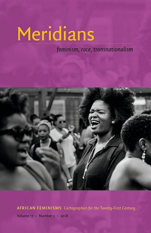 Produktbild: African Feminisms