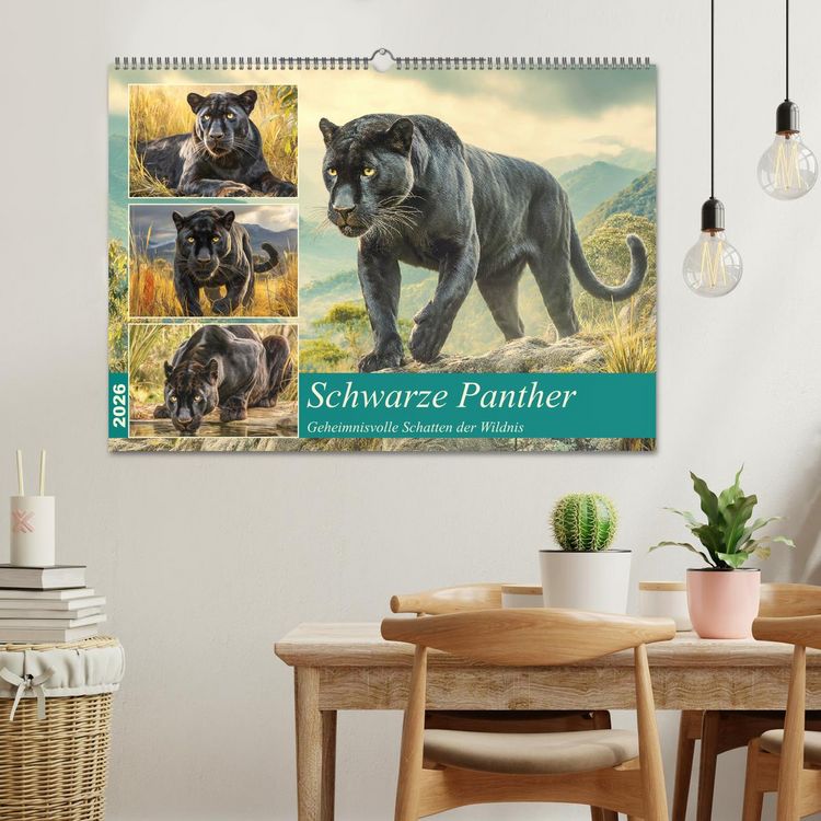 Produktbild: Schwarze Panther. Geheimnisvolle Schatten der Wildnis (Wandkalender 2026 DIN A2 quer), CALVENDO Monatskalender