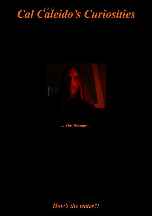 Produktbild: Cal Caleido&rsquo;s Curiosities (Vol. 12) ... The Message ...