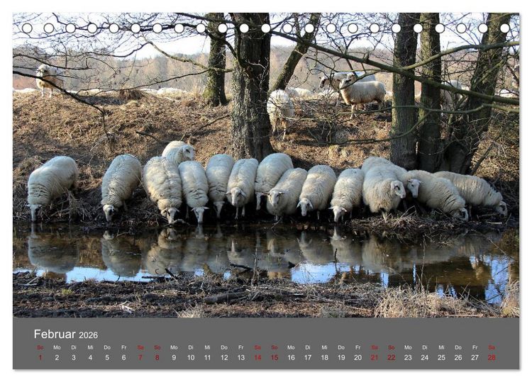 Produktbild: Wahner Heide - Aussichten und Begegnungen (Tischkalender 2026 DIN A5 quer), CALVENDO Monatskalender