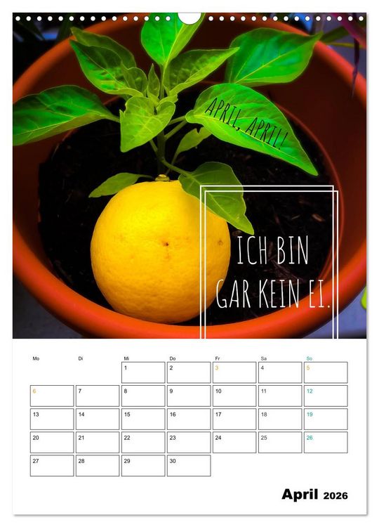 Produktbild: Mit Eiern durch's Jahr. (Wandkalender 2026 DIN A3 hoch), CALVENDO Monatskalender