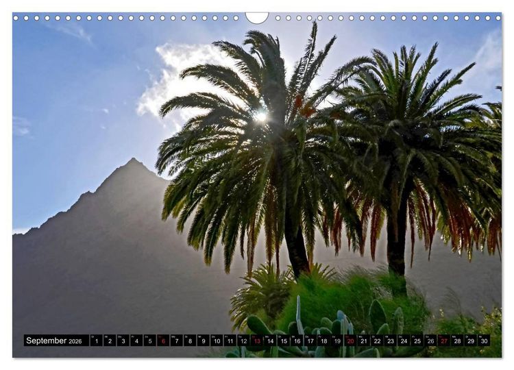 Produktbild: Teneriffas rauer Norden (Wandkalender 2026 DIN A3 quer), CALVENDO Monatskalender
