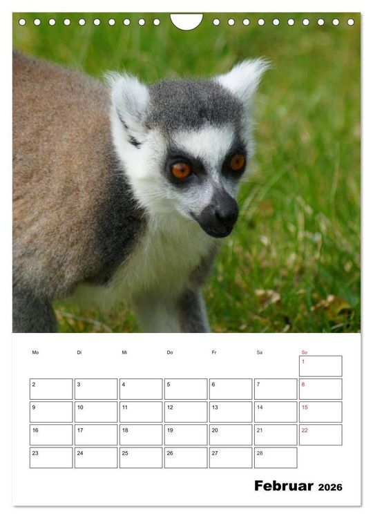 Produktbild: Katta Terminplaner (Wandkalender 2026 DIN A4 hoch), CALVENDO Monatskalender