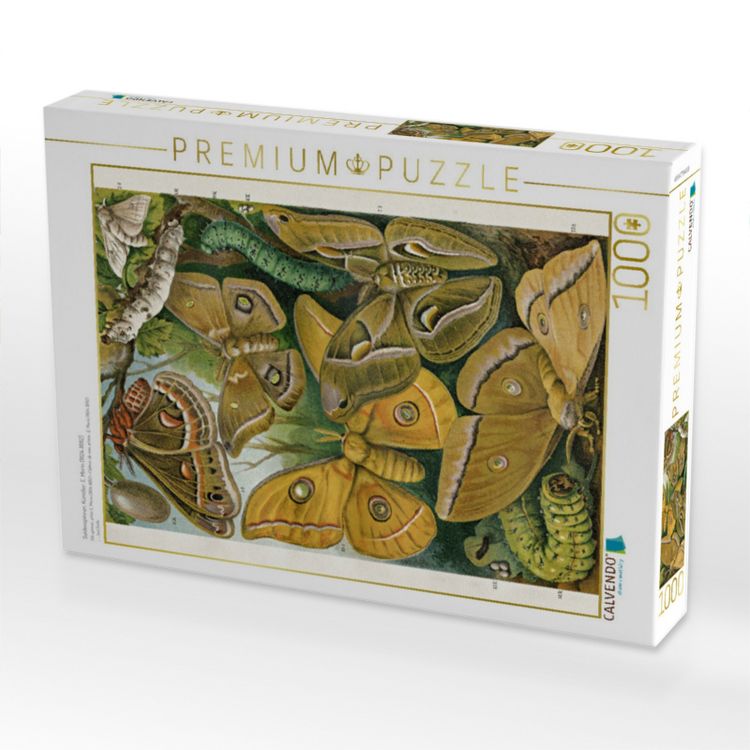 Produktbild: CALVENDO Puzzle Seidenspinner, K&uuml;nstler: E. Morin (1824-1882) | 1000 Teile Lege-Gr&ouml;&szlig;e 64x48cm Foto-Puzzle f&uuml;r gl&uuml;ckliche Stunden
