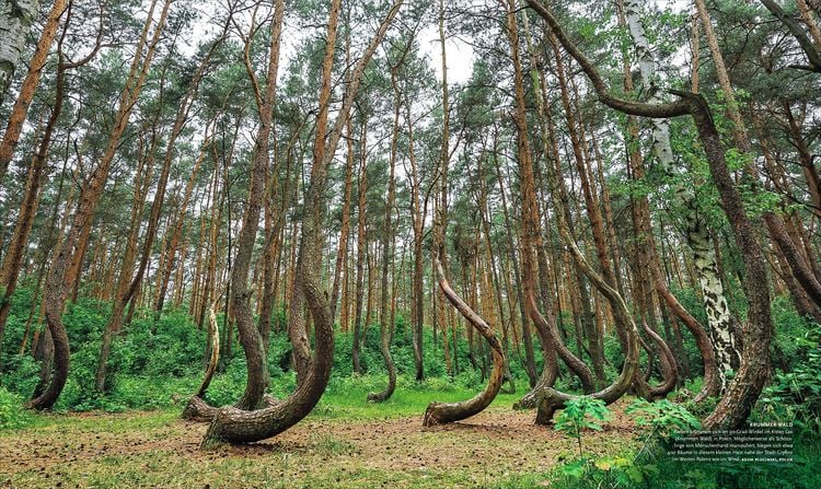Produktbild: NATIONAL GEOGRAPHIC