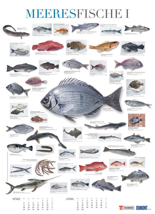 Produktbild: Food, Poster-Kalender 2013