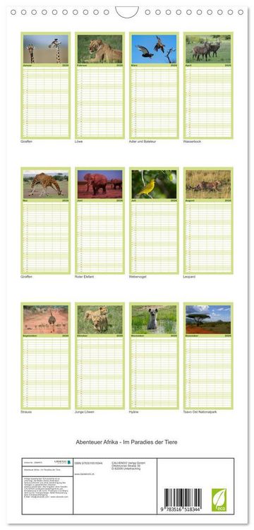 Produktbild: Familienplaner 2026 - Abenteuer Afrika - Im Paradies der Tiere mit 5 Spalten (Wandkalender, 21 x 45 cm) CALVENDO