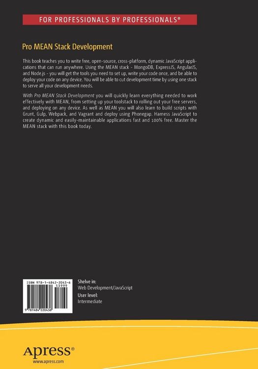 Produktbild: Pro MEAN Stack Development
