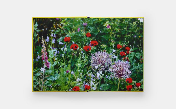 Produktbild: A Year in Bloom