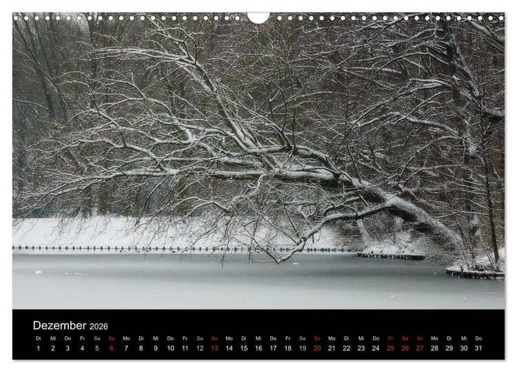 Produktbild: Baumportr&auml;ts 2026 (Wandkalender 2026 DIN A3 quer), CALVENDO Monatskalender