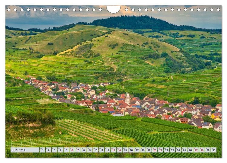 Produktbild: Weinregion Kaiserstuhl (Wandkalender 2026 DIN A4 quer), CALVENDO Monatskalender