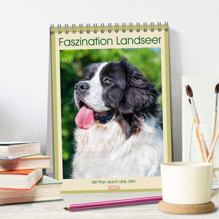 Produktbild: Faszination Landseer - Mit Plan durch das Jahr (Tischkalender 2026 DIN A5 hoch), CALVENDO Monatskalender