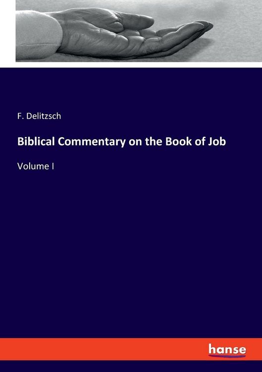 Produktbild: Biblical Commentary on the Book of Job