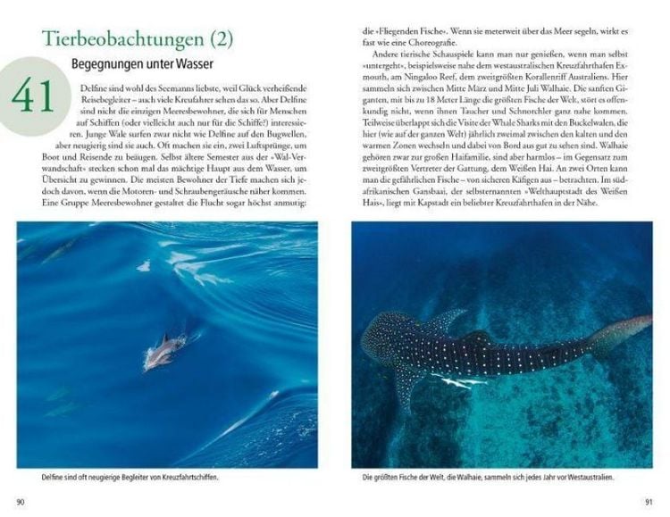 Produktbild: 101 Dinge, die man &uuml;ber Kreuzfahrten wissen muss