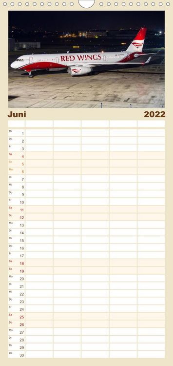Produktbild: Familienplaner Sch&ouml;nheit der Flugzeuge (Wandkalender 2022 , 21 cm x 45 cm, hoch)