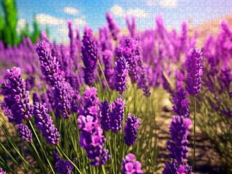 Produktbild: CALVENDO Puzzle Ein Motiv aus dem Kalender Meditation und innerer Frieden | 2000 Teile Lege-Gr&ouml;&szlig;e 90x67cm Foto-Puzzle f&uuml;r gl&uuml;ckliche Stunden