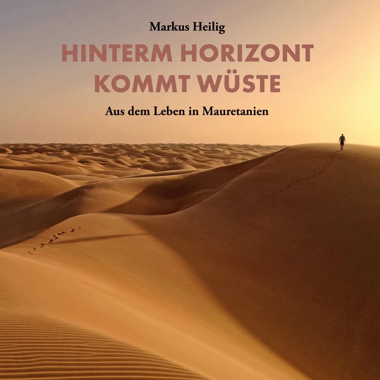 Produktbild: Hinterm Horizont kommt W&uuml;ste