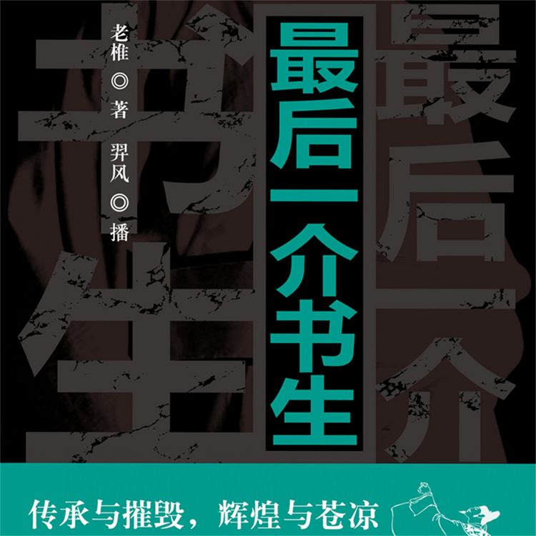 Produktbild: 最后一介书生