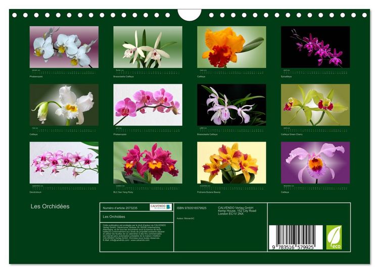 Produktbild: Les Orchid&eacute;es (Calendrier mural 2026 DIN A4 vertical), CALVENDO calendrier mensuel