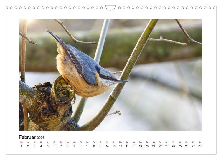 Produktbild: Flinke Kleiber (Wandkalender 2026 DIN A3 quer), CALVENDO Monatskalender