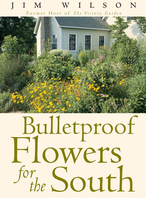 Produktbild: Bulletproof Flowers for the South