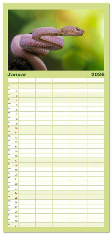 Produktbild: Familienplaner 2026 - Faszination Schlangen mit 5 Spalten (Wandkalender, 21 x 45 cm) CALVENDO