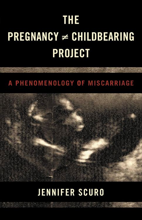 Produktbild: The Pregnancy [does-not-equal] Childbearing Project