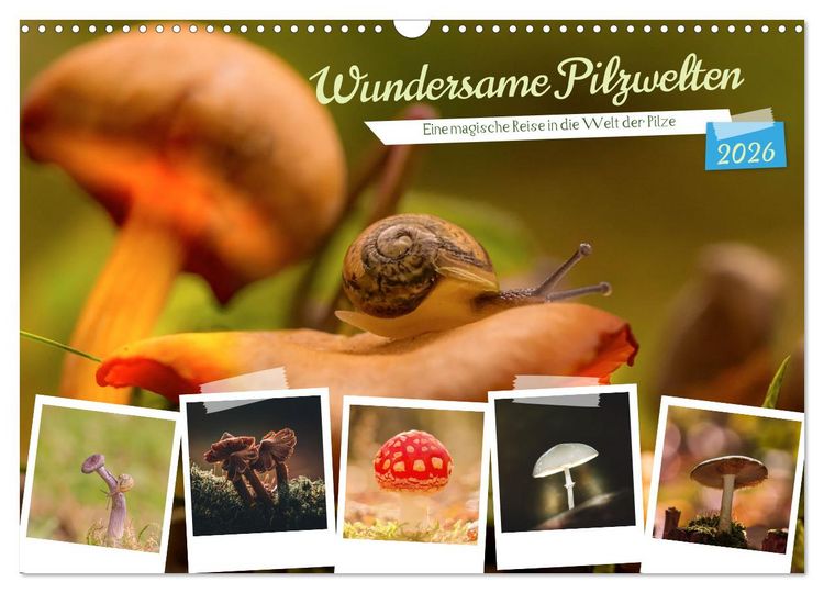 Produktbild: Wundersame Pilzwelten (Wandkalender 2026 DIN A3 quer), CALVENDO Monatskalender