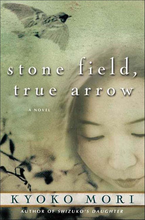 Produktbild: Stone Field, True Arrow