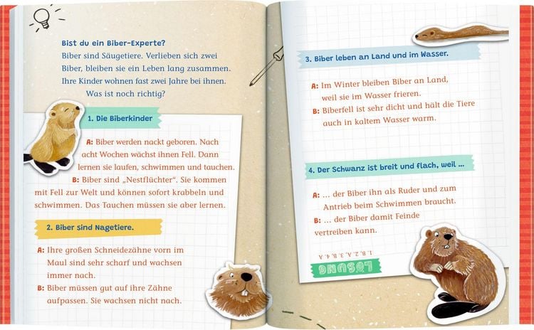 Produktbild: Emil Einstein (Leseanf&auml;nger, Bd. 1)