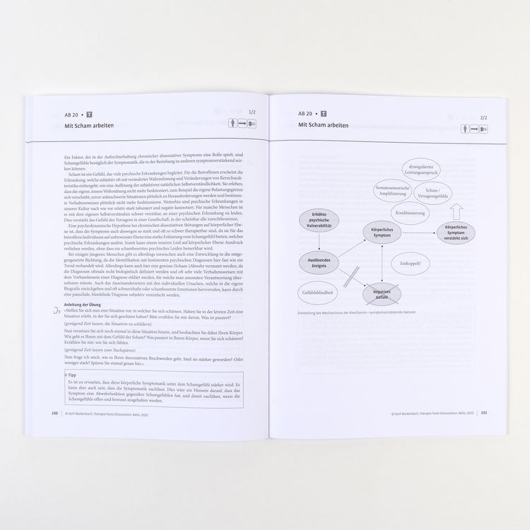 Produktbild: Therapie-Tools Dissoziation