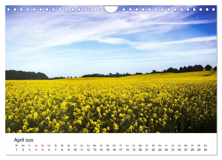 Produktbild: Schleswig-Holstein in 365 Farben (Wandkalender 2026 DIN A4 quer), CALVENDO Monatskalender
