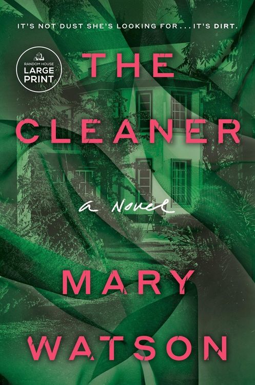 Produktbild: The Cleaner