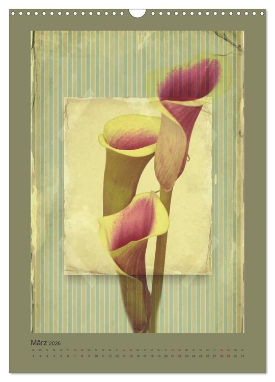 Produktbild: Vintage Style (Wandkalender 2026 DIN A3 hoch), CALVENDO Monatskalender