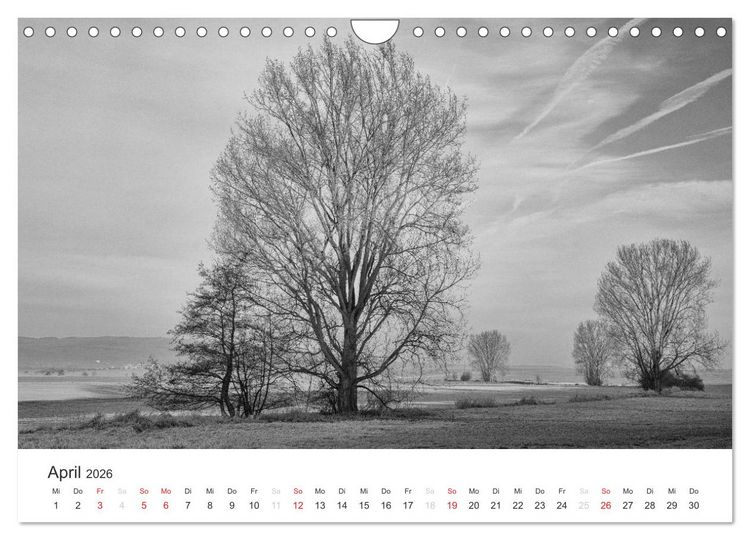 Produktbild: B&auml;ume - Natursch&ouml;nheiten in schwarz-wei&szlig; (Wandkalender 2026 DIN A4 quer), CALVENDO Monatskalender